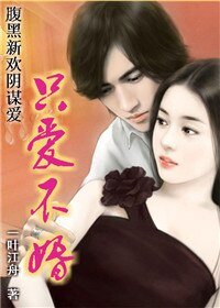 遭遇陰謀愛情:只愛不婚
