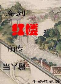 《穿到红楼前传当丫鬟》