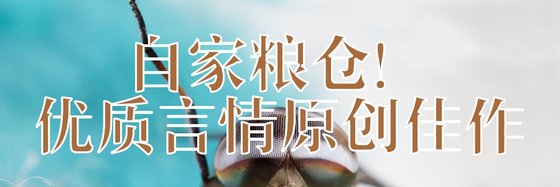 自家粮仓！优质言情原创佳作