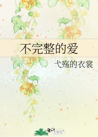 不完整的愛
