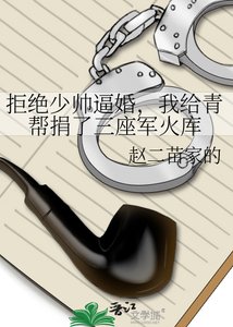 拒絕少帥逼婚,我給青幫捐了三座軍火庫