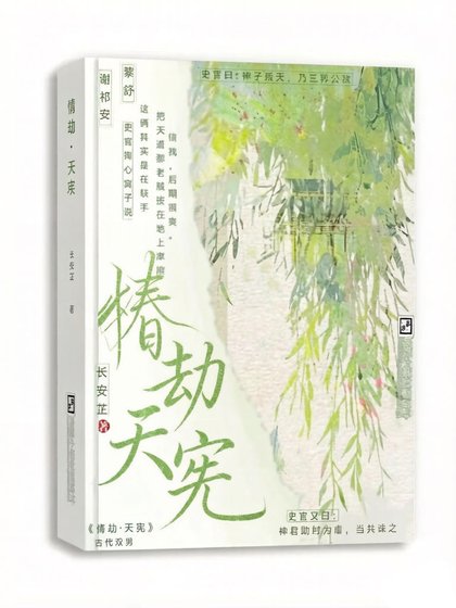 情劫·天憲